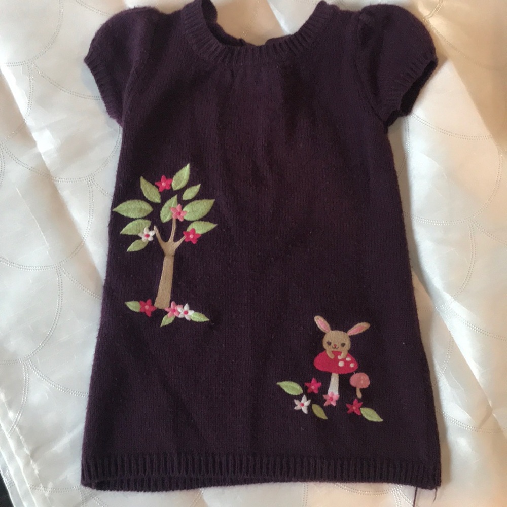 Sweater/dress